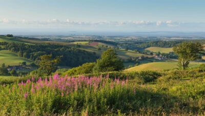From London: Canterbury & White Cliffs of Dover Tour - Getting There Smoothly: The DoubleTree Meet-Up and Small-Group Minibus
