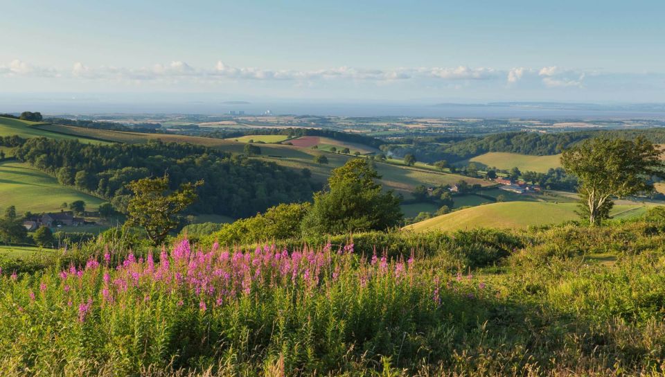 From London: Canterbury & White Cliffs of Dover Tour - Getting There Smoothly: The DoubleTree Meet-Up and Small-Group Minibus