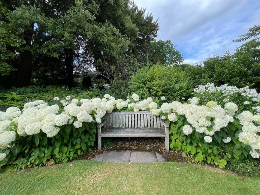 From London: Day Trip to Downton Abbey, Oxford and Bampton - Price and value: is $222.25 worth a 10-hour hit?