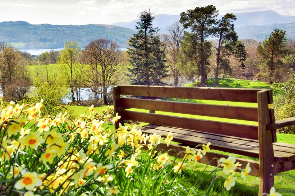 From London: Lake District Tour with Cream Tea & Cruise - Tarn Hows photo stop and the Miss Potter film-route drive