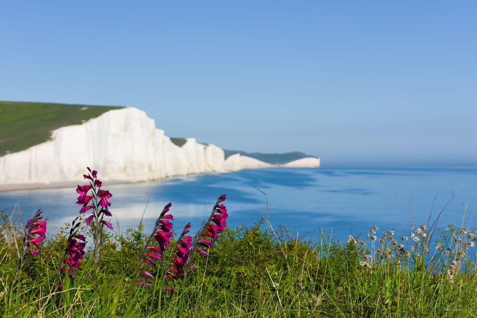 From London: Seven Sisters and Brighton Full-Day Tour - Birling Gap and the Seven Sisters cliffs: why these viewpoints are the main event