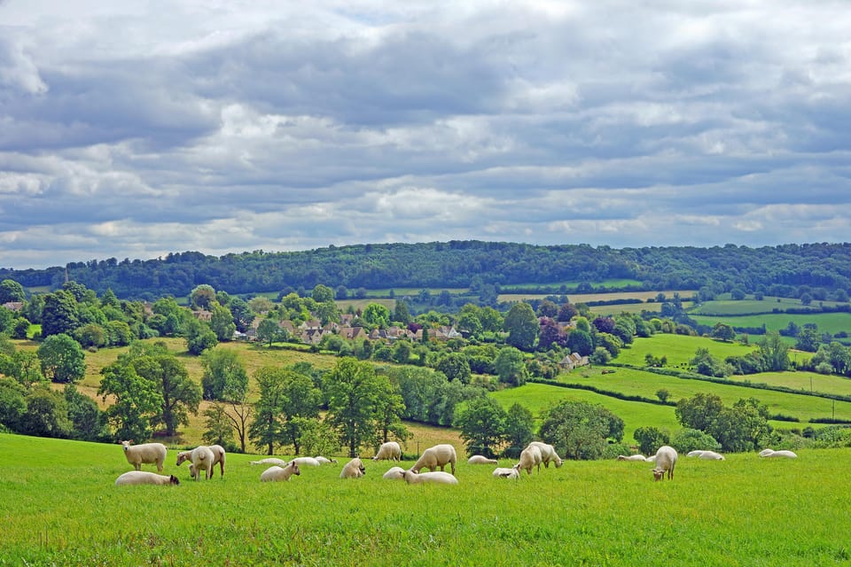 From London: Small Group Stonehenge, Bath & Cotswolds Tour - Small-Group Guides: Why the Right Voice Changes the Day