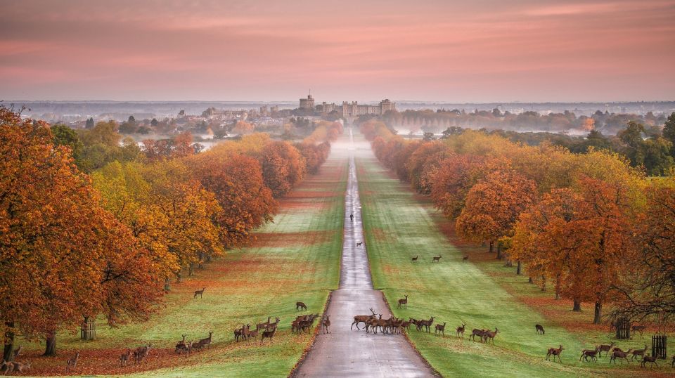 From London: Stonehenge, Windsor and Salisbury Guided Tour - Price and value: what $160.29 buys you (and what it doesn’t)