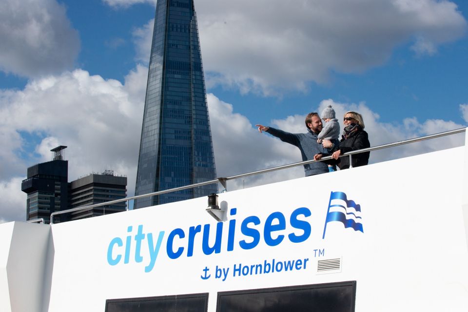 London: Christmas Day Sightseeing Cruise - Where you start: Westminster Millennium Pier basics