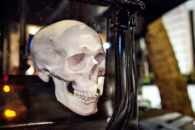London: Comedy Horror Ghost Tour on a Bus - The comedy-horror show on a moving double-decker