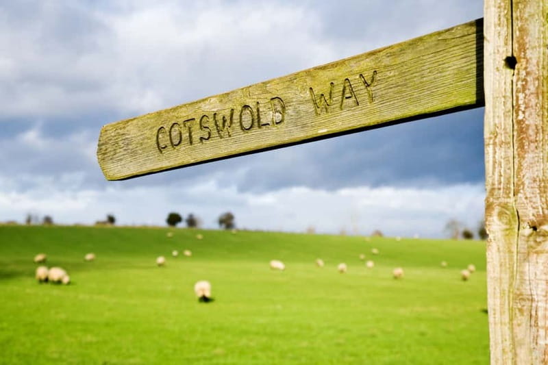 London: Cream Tea at Blenheim Palace & the Cotswolds Tour - What about time for Oxford and other stops?