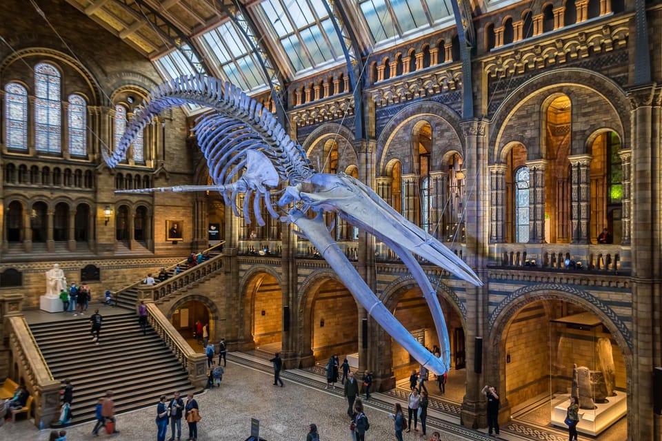 London: Guided Tour of the Natural History Museum - Finding Golden Tours at the Natural History Museum