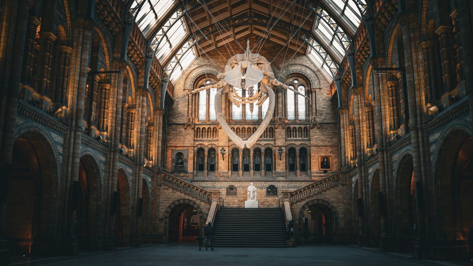 London: Guided Tour of the Natural History Museum - Bag check to grand hall: what the museum does before you even sit still
