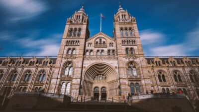 London: Guided Tour of the Natural History Museum - Dinosaur Gallery and Mammals: scale, skeletons, and why names matter