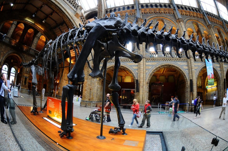 London: Guided Tour of the Natural History Museum - Volcanoes, Earthquakes, and Earth Sciences: rocks that explain how the planet moves