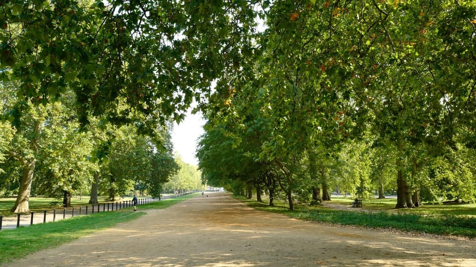 London: Hop-On Hop-Off Pass with Thames River Cruise 24 Hrs - The Small Print That Can Affect Your Day