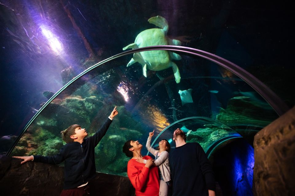 London: Madame Tussauds, London Eye & SEA LIFE Combo Ticket - Key highlights to know before you go
