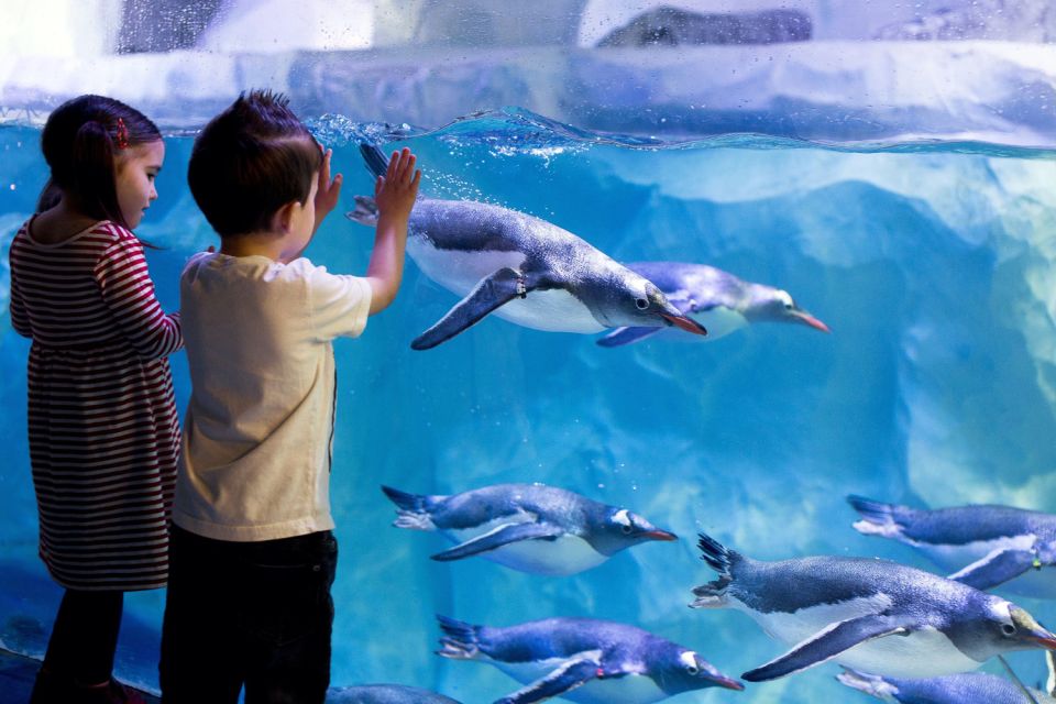 London: Madame Tussauds, London Eye & SEA LIFE Combo Ticket - Price and value versus buying tickets separately