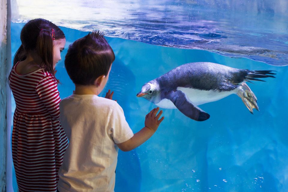 London: Madame Tussauds, SEA LIFE and London Dungeon Entry - A three-attraction London day in one smart pass