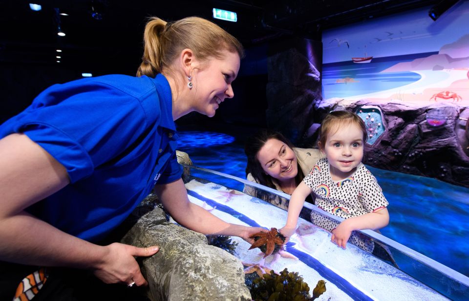 London: Madame Tussauds, SEA LIFE and London Dungeon Entry - Should you book this London combo ticket?