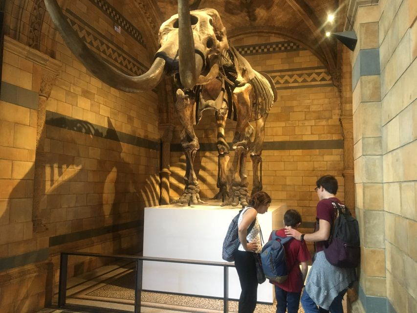 London: Natural History Museum Entry Ticket and Guided Tour - Key highlights you won’t want to miss