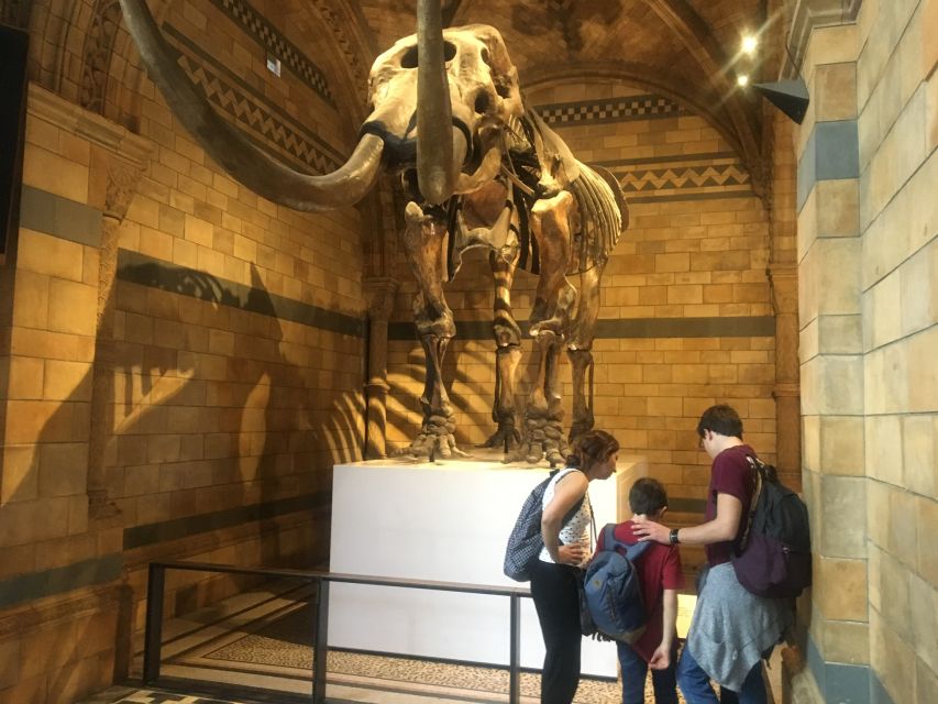 London: Natural History Museum Entry Ticket and Guided Tour - Why the Natural History Museum feels different with a guide