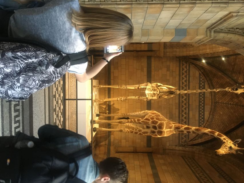 London: Natural History Museum Entry Ticket and Guided Tour - Central Hall: where Diplodocus sets the mood