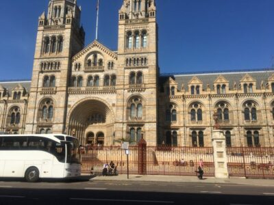 London: Natural History Museum Entry Ticket and Guided Tour - Meeting at South Kensington and getting inside faster