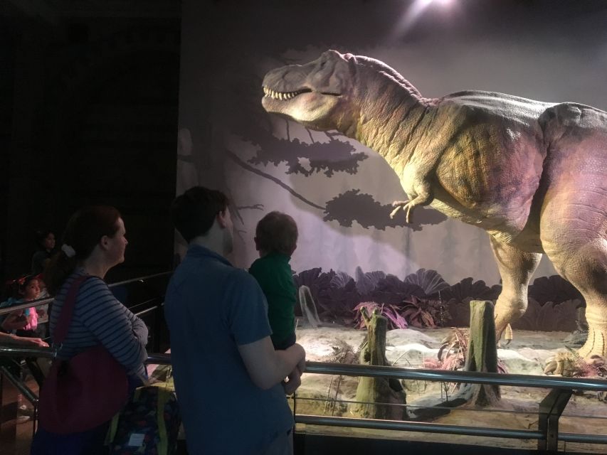 London: Natural History Museum Entry Ticket and Guided Tour - Minerals, gems, and the butterfly collection: small details with big payoff