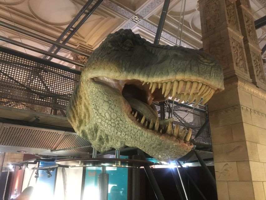 London: Natural History Museum Entry Ticket and Guided Tour - Wildlife Garden: the calm break for birds, bees, and more