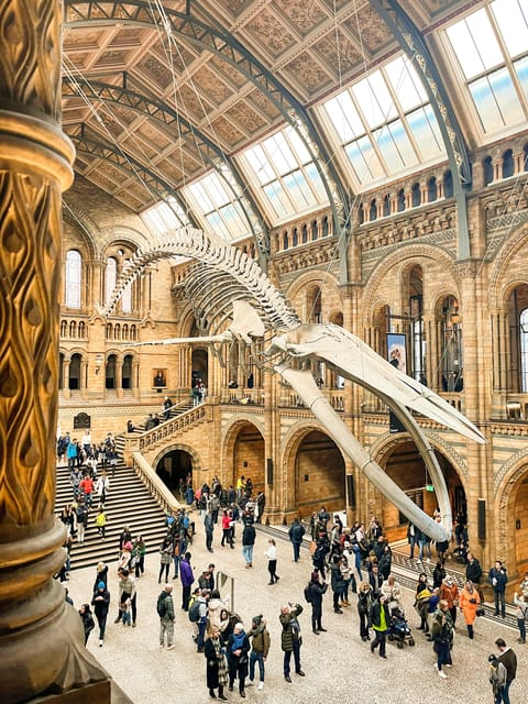 London: Natural History Museum Guided Tour - Key highlights that make this tour worth your time