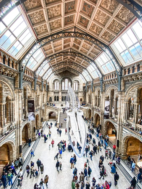 London: Natural History Museum Guided Tour - Natural History Museum, Focused: Why 2.5 Hours Works Here