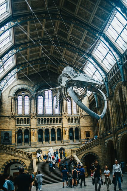 London: Natural History Museum Guided Tour - Fossils First: Iguanodon Teeth and the Dinosaur-to-Bird Thread