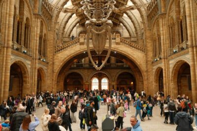 London: Natural History Museum Guided Tour - Your Guide Matters: Ivo, Guy V., Matilda, and Sacha as the Real Selling Point