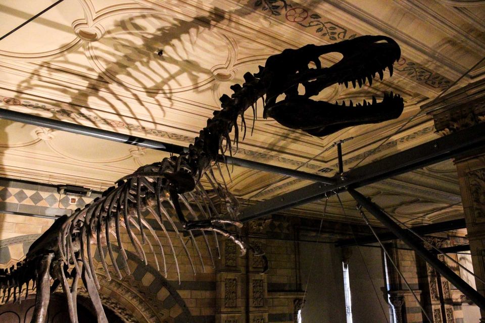 London: Natural History Museum Guided Tour - Practical Stuff That Actually Changes Your Day: Bags, Security, and Pace