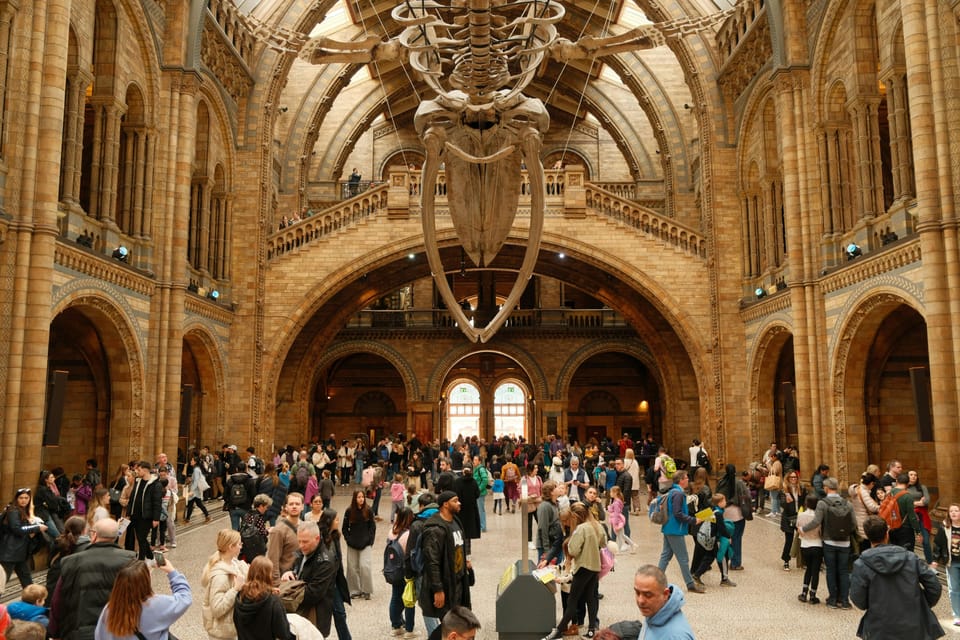 London: Natural History Museum Guided Tour - Your Guide Matters: Ivo, Guy V., Matilda, and Sacha as the Real Selling Point