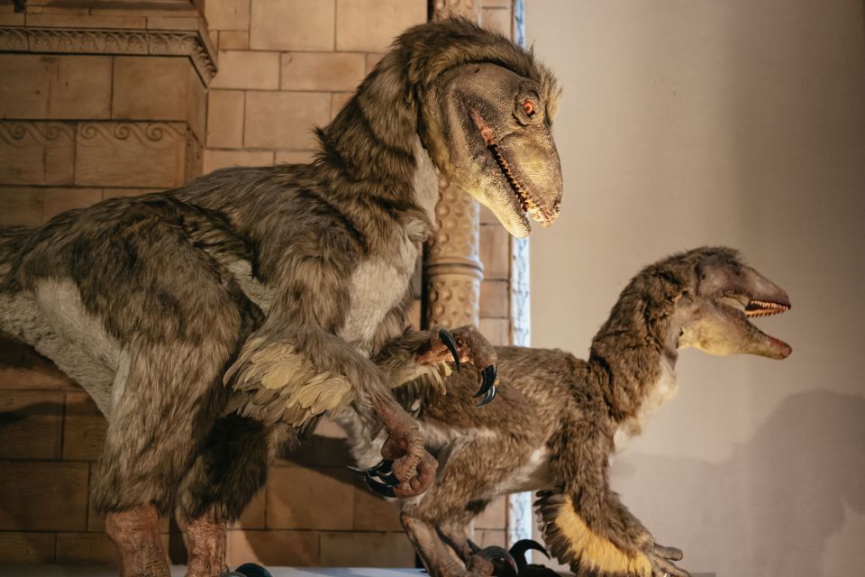 London: Natural History Museum Private Guided Family Tour - Key Highlights You’ll Actually Feel