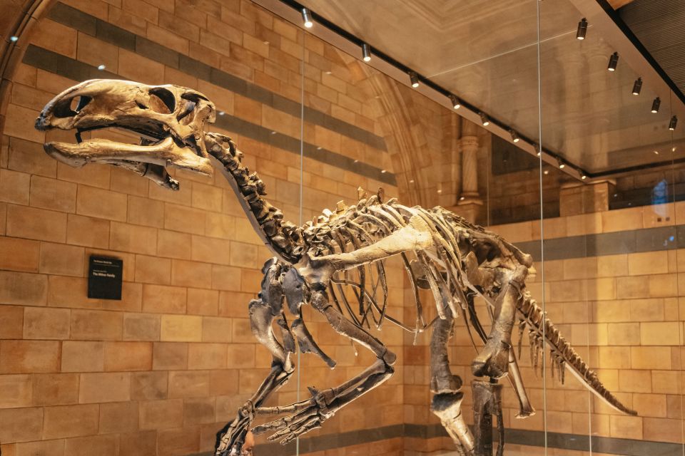 London: Natural History Museum Private Guided Family Tour - Price and Value: $395.23 for Up to 5 People