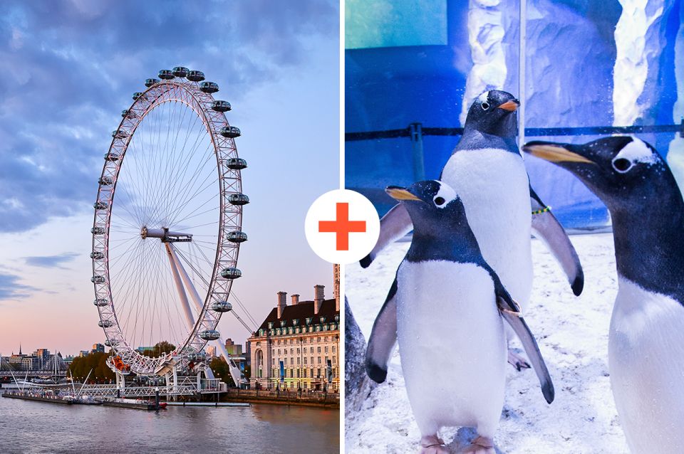 London: SEA LIFE & London Eye Combo Ticket - Key Things to Know Before You Go