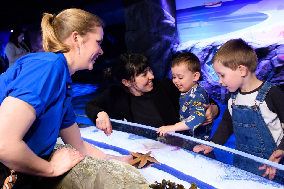 London: SEA LIFE & London Eye Combo Ticket - London Eye Timing: 135 Meters Up and 360° Views for 30 Minutes