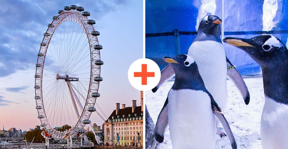 London: SEA LIFE & London Eye Combo Ticket - Booking and Entrance Reality: How to Avoid Wasted Time