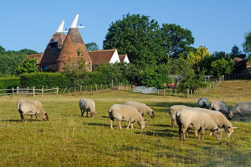 London: Small Group Canterbury, Dover & Kent Villages Tour - The Pace and Group Size: 16-Seaters, Fewer Hassles