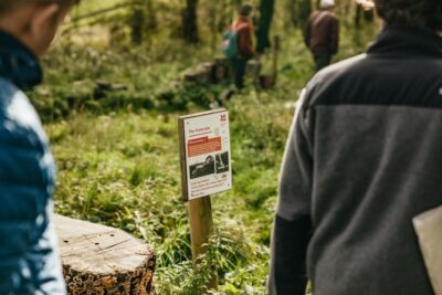 London: South Downs White Cliffs Day Trip with Train Tickets - Brighton Is Just a Handoff, Not the Point