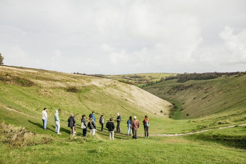 London: South Downs White Cliffs Day Trip with Train Tickets - Train Tickets and the 16-Seat Minibus: The Real Value Behind the Price