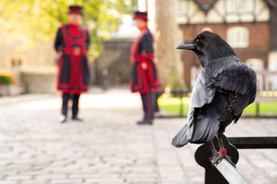 London: Tower of London, Thames Boat & Changing of the Guard - Buckingham Palace photo time: getting the shot without losing your mind