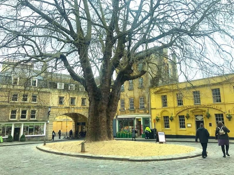 Stonehenge, Bath, Windsor and Roman Baths London Day Tours - What’s Included, What Isn’t, and the Real Value of Paying $105.07