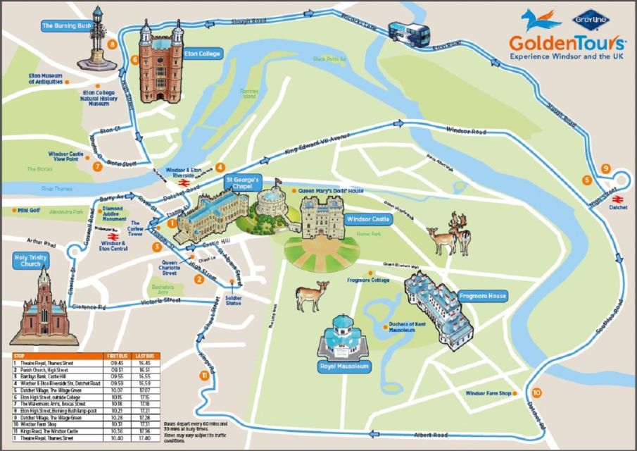 Windsor: Golden Tours Open Top Hop-on Hop-off Bus Tour - Your royal route: Windsor Castle, the Long Walk, and the Prince Harry factor